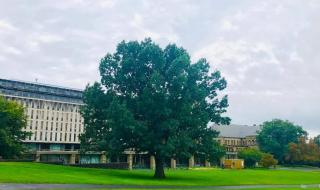 2024QS世界大学排行榜最新