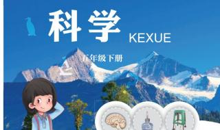 五年级下册科学复习资料