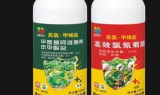 去除蟑螂最好的药是什么